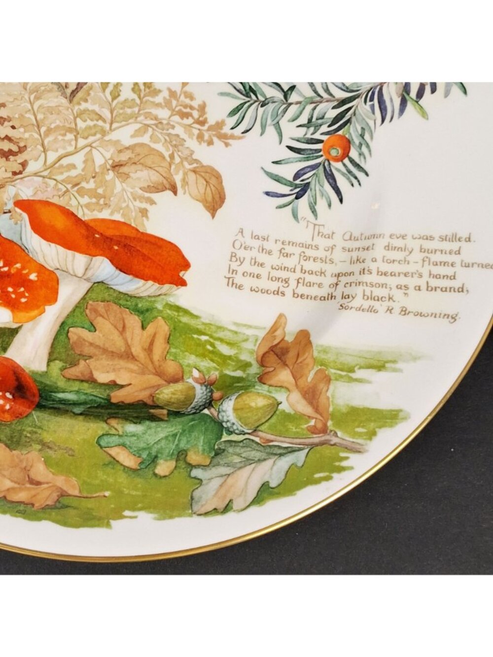 Caverswall Calendar Plates the Country Diary of An Edwardian Lady - Mushroom & - Picture 6 of 11